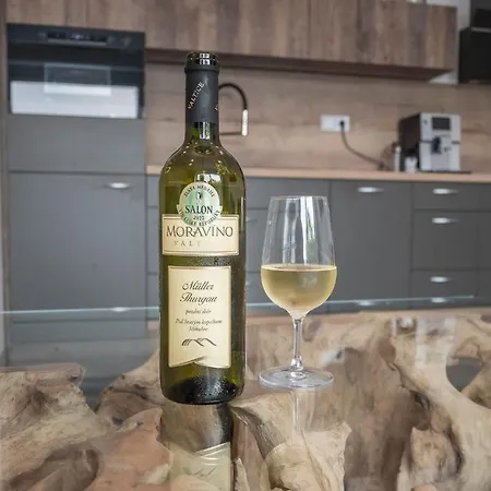 Veltlin Bed & Wine * Valtice