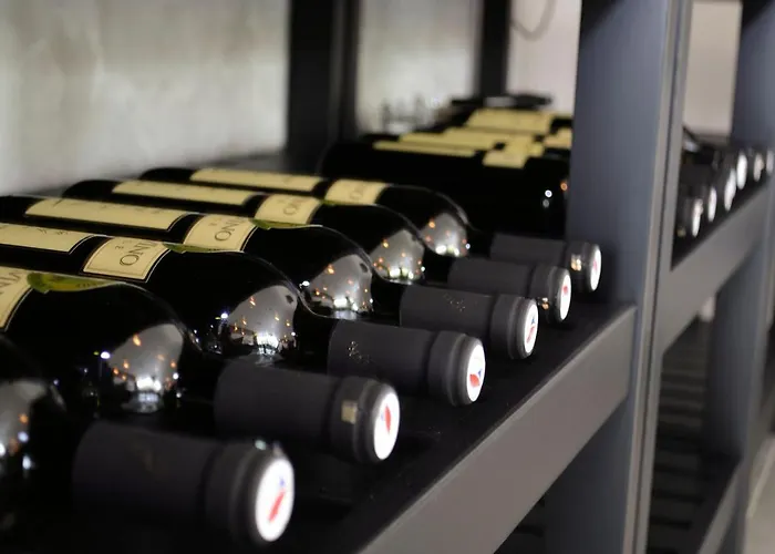 Hotel Veltlin Bed & Wine